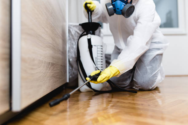 Best Affordable Pest Control Services  in Shelbina, MO