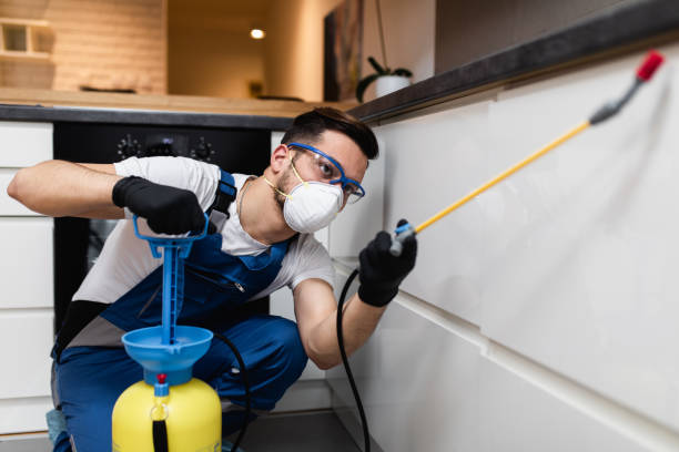 Best Residential Pest Control  in Shelbina, MO