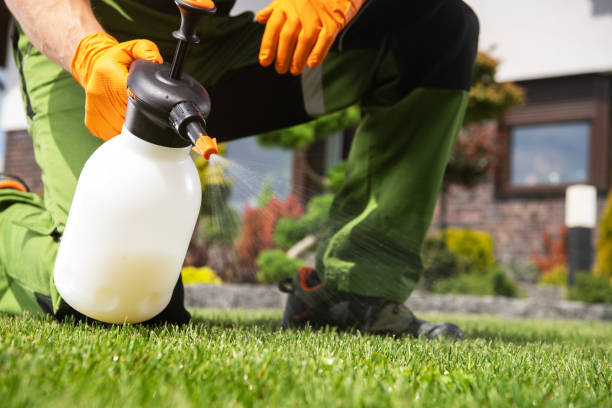 Best Termite Control Services  in Shelbina, MO