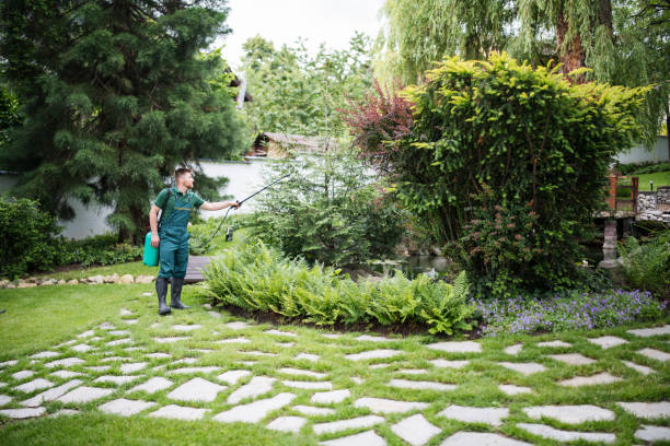 Best Local Pest Control Services  in Shelbina, MO