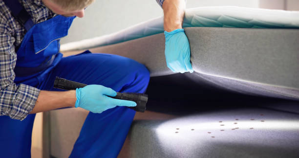 Best Flea Control Services  in Shelbina, MO